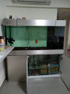 (Category: ) located in . Submitted by negodeal (Listing ID 1022706944, Image 1). Description: .