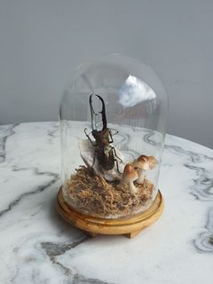 (Category: ) located in . Submitted by owntone (Listing ID 1022720408, Image 1). Description: .