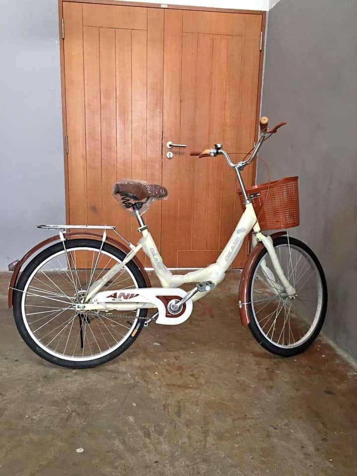 ladies bicycle