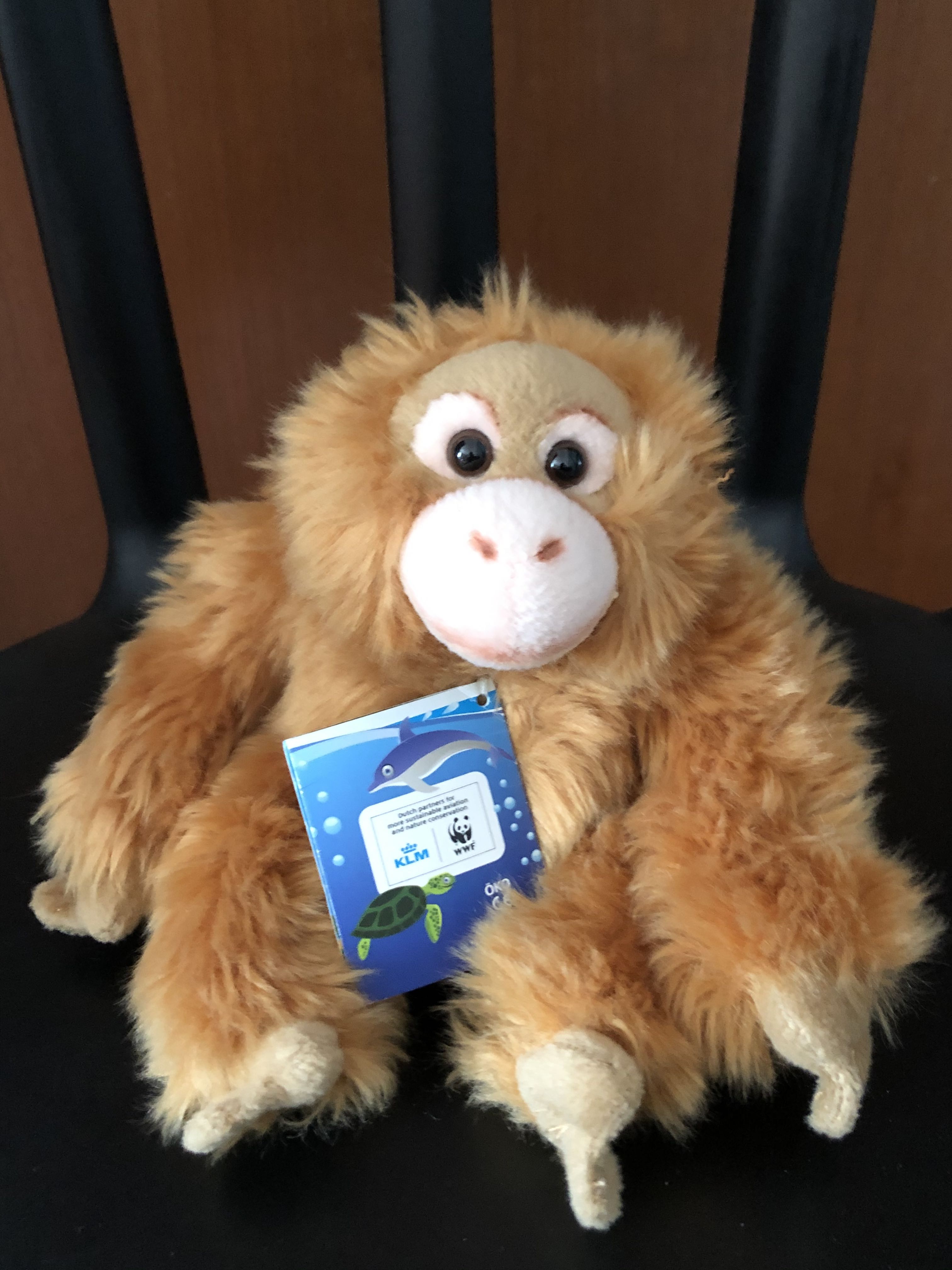 Wwf orangutan toy cheap