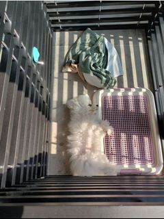 （分類：）位於 。 由 yutou.s 提交（商品編號 1022828730，圖片 1）。簡介： 。