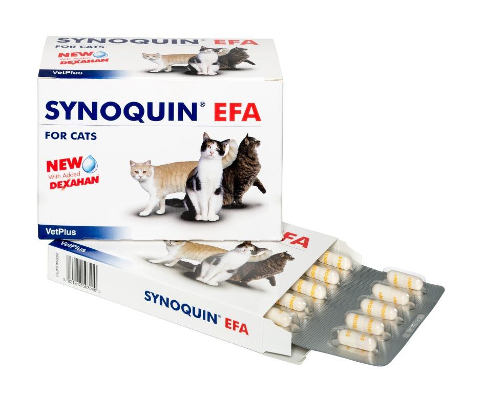 Synoquin for hot sale cats