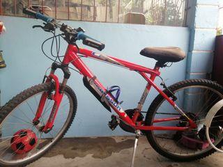 dunlop sport mountain bike special edition