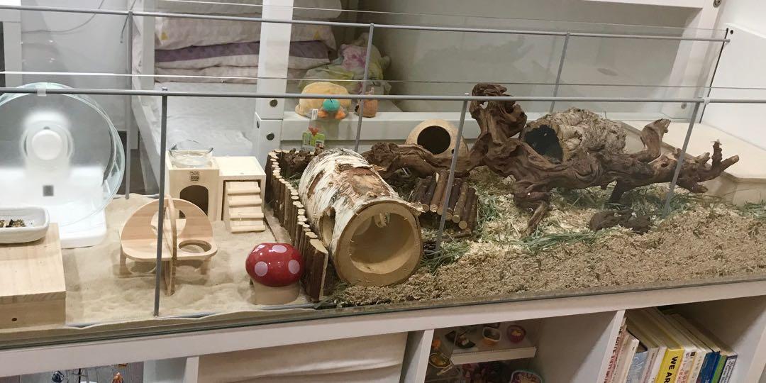 ikea detolf hamster cage for sale
