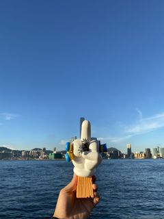 （分類：）位於 。 由 maxmang 提交（商品編號 1022426737，圖片 1）。簡介： 。