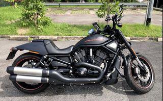 MY17 Harley-Davidson Vrod Night Rod Special