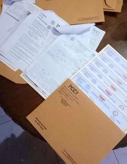 Dog Paper Registration PCCI Paper Application Assistance Processing Dog Paper Registration PCCI Paper Application Assistance Processing
