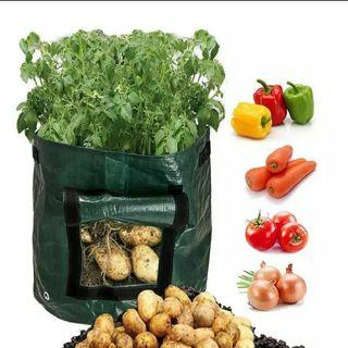 Plant Grow Bag (Gardening, Pots, Planting) Potato Grow bag, Big Pots, Gardening materials, tools Quezon City QC