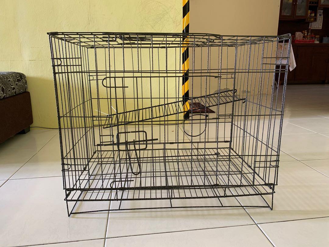 Sangkar kucing, Pet Supplies, Pet Accessories on Carousell