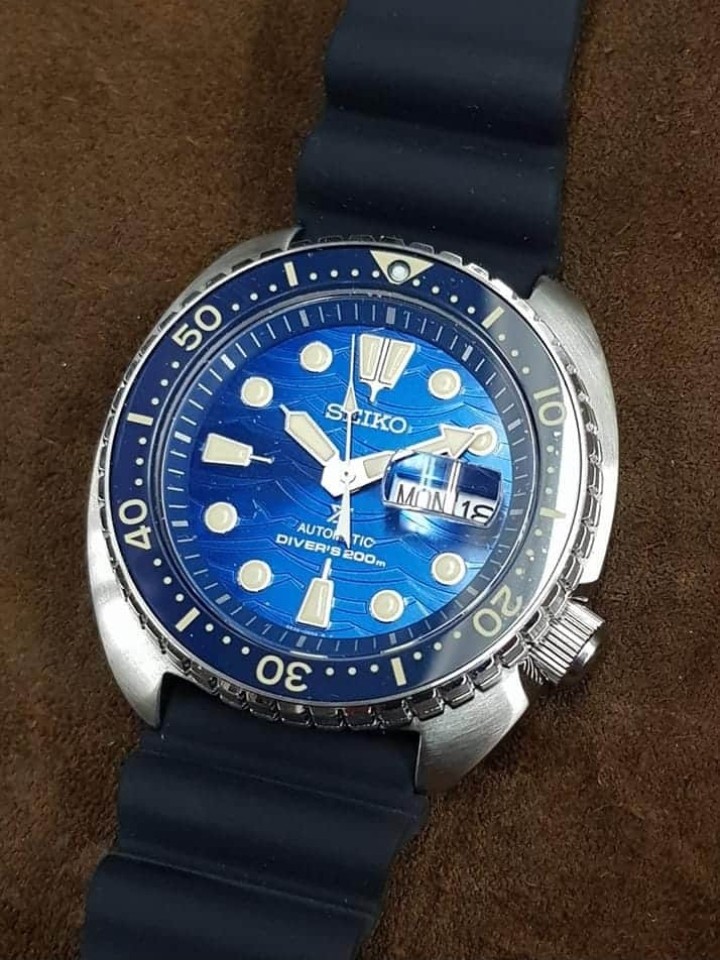 sto turtle seiko