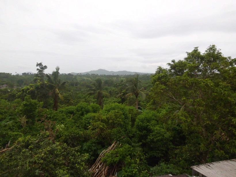 5000sqm Farm Lot Silang Cavite Near Tagaytay City And Aguinaldo Highway Gardening Flowers Plants On Carousell