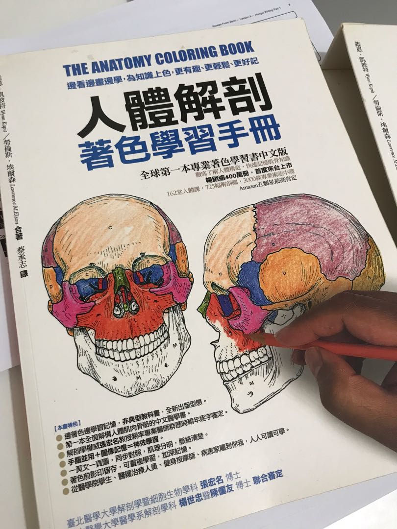 人體解剖填色學習書 興趣及遊戲 書本 文具 小朋友書 Carousell