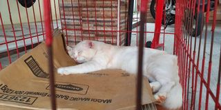 (Category: ) located in . Submitted by yeahbor (Listing ID 1022891388, Image 1). Description: .