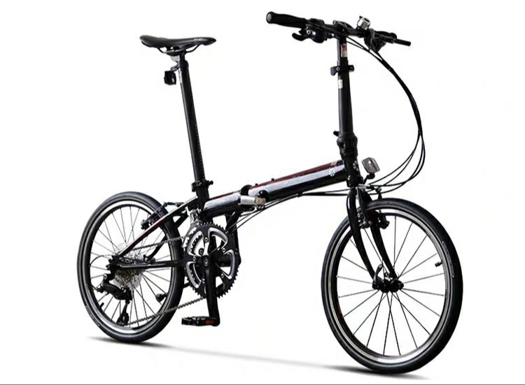 dahon ford s max 20