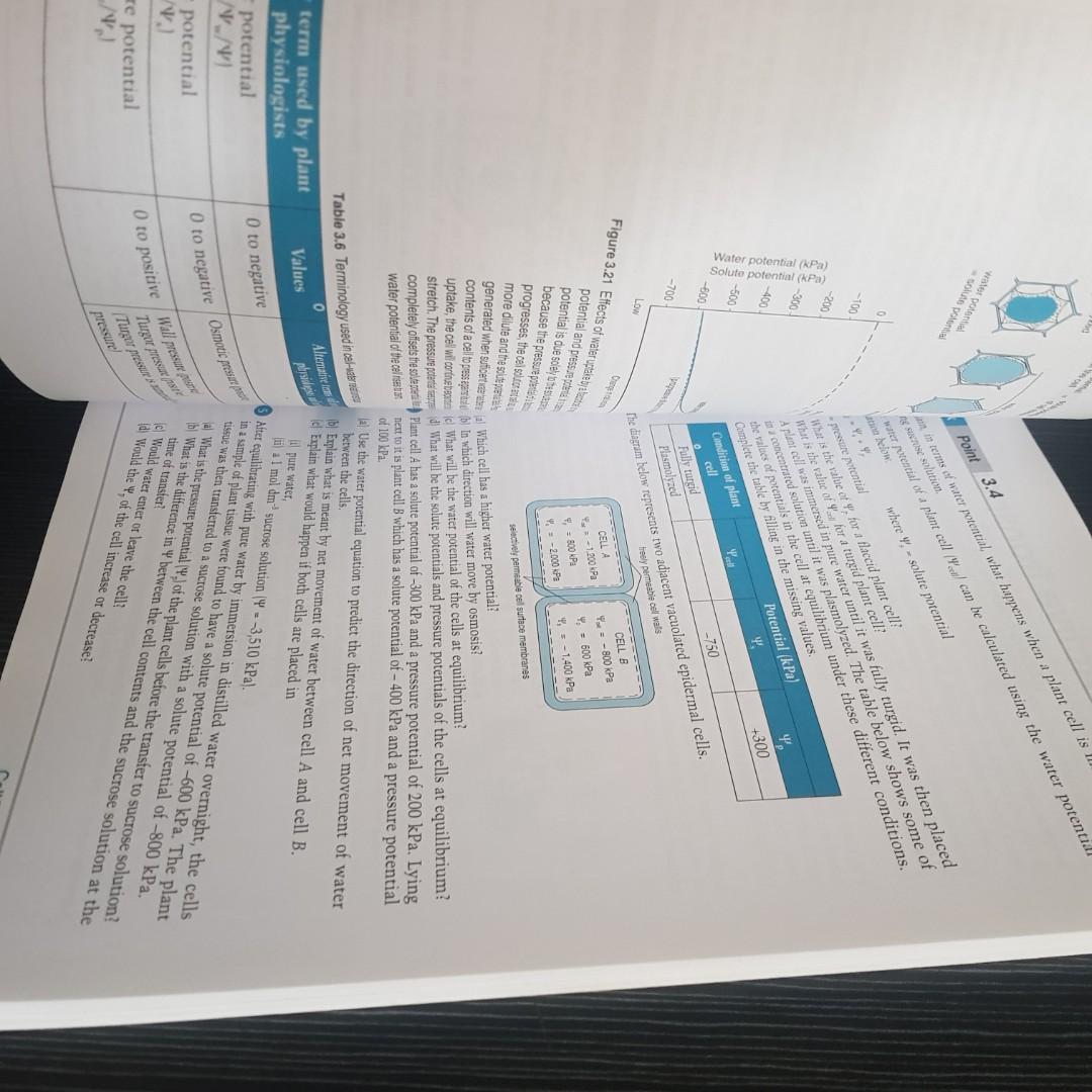 General Biology 1 (Senior High School Book), Hobbies & Toys, Books ...