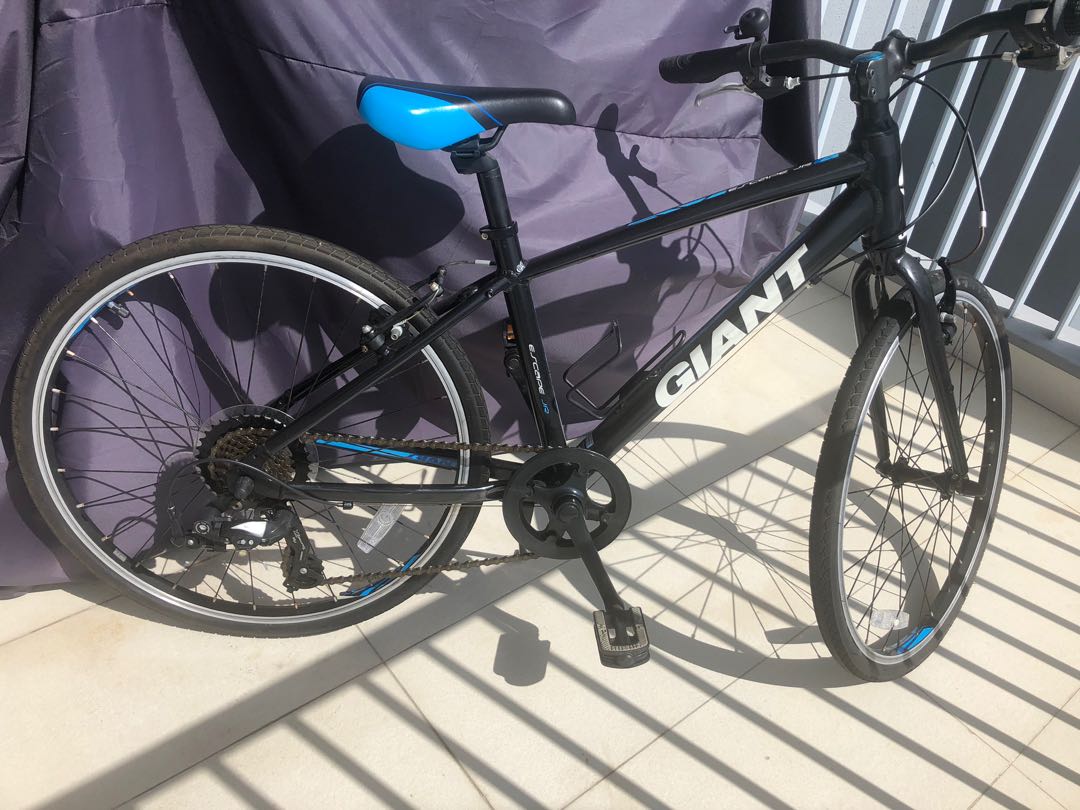 Giant Escape Junior 14 Inch Sports Equipment Bicycles Parts Bicycles on Carousell
