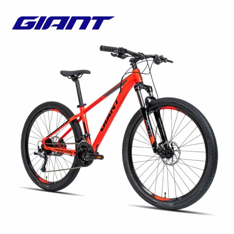 giant speed bike