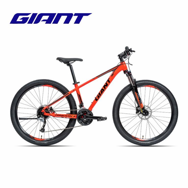 giant rincon 2020