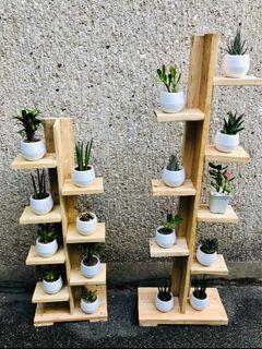 Plant rack/stand