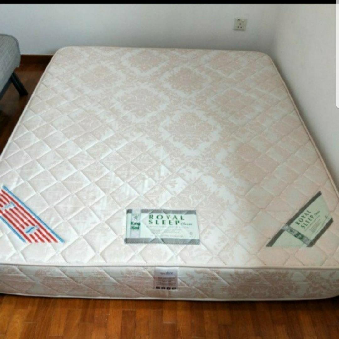 Deep Cleaned King Koil Queen Size Mattress Furniture Beds