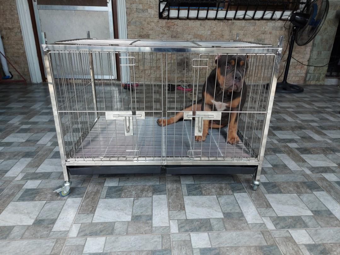 Stainless dog cage deals for sale