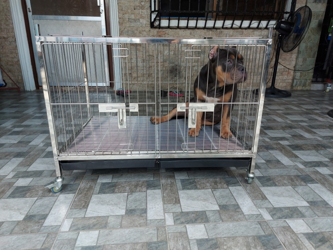 stainless dog cage