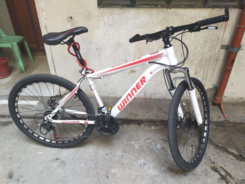 mtb service