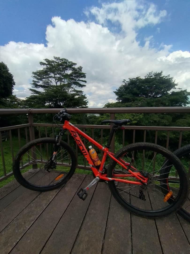 avanti bike price