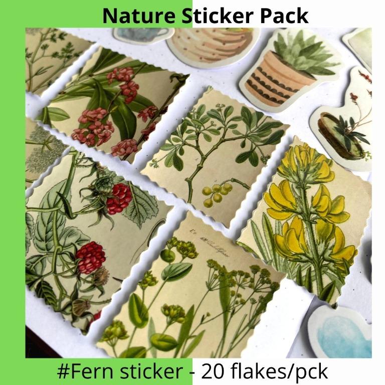 scrapbook　Craft,　NATURE　Stationery　of　on　Flower　of　Weather　Hobbies　Sticker　Plant　project　stickers,　decorative　Tools　Craft　Theme　designs　BujoWorld　Supplies　Toys,　100PC　cute　Carousell