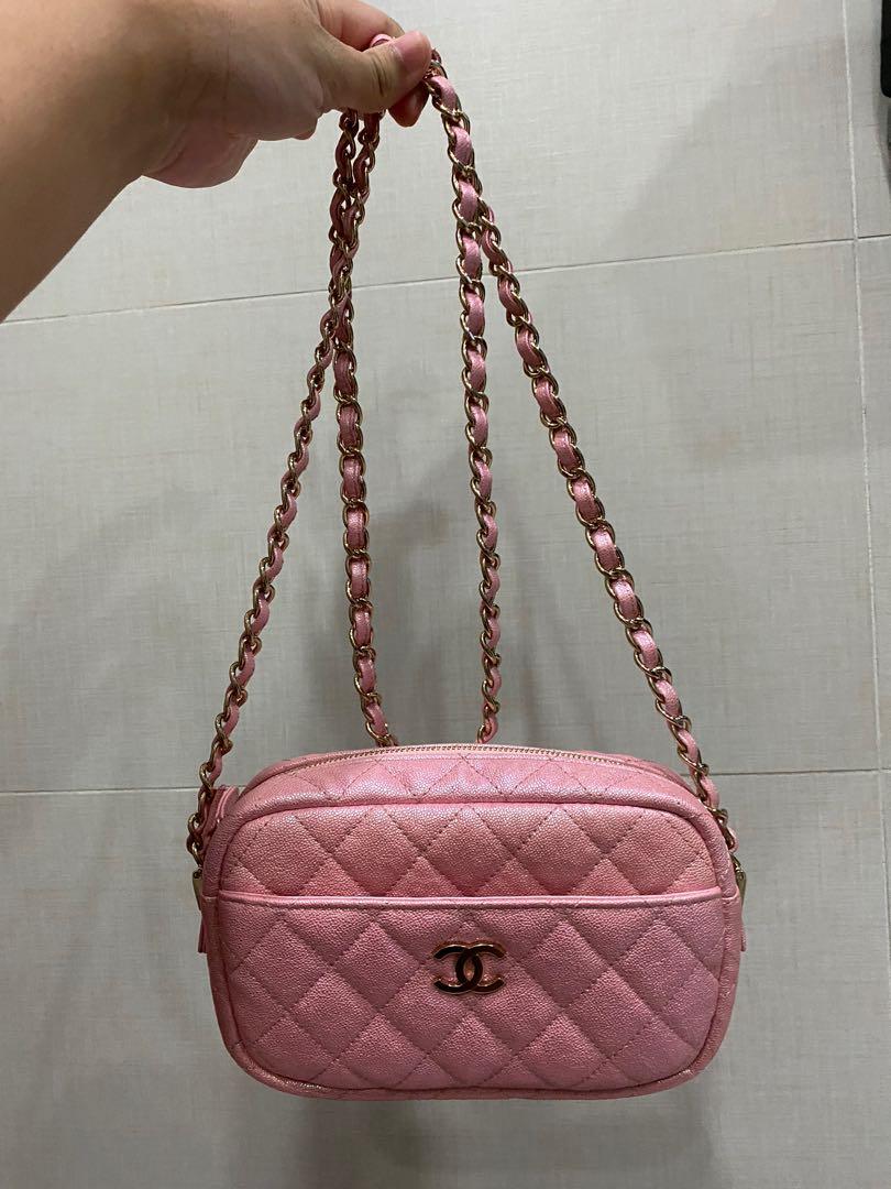 Chanel 19s Pink Iridescent Camera Bag