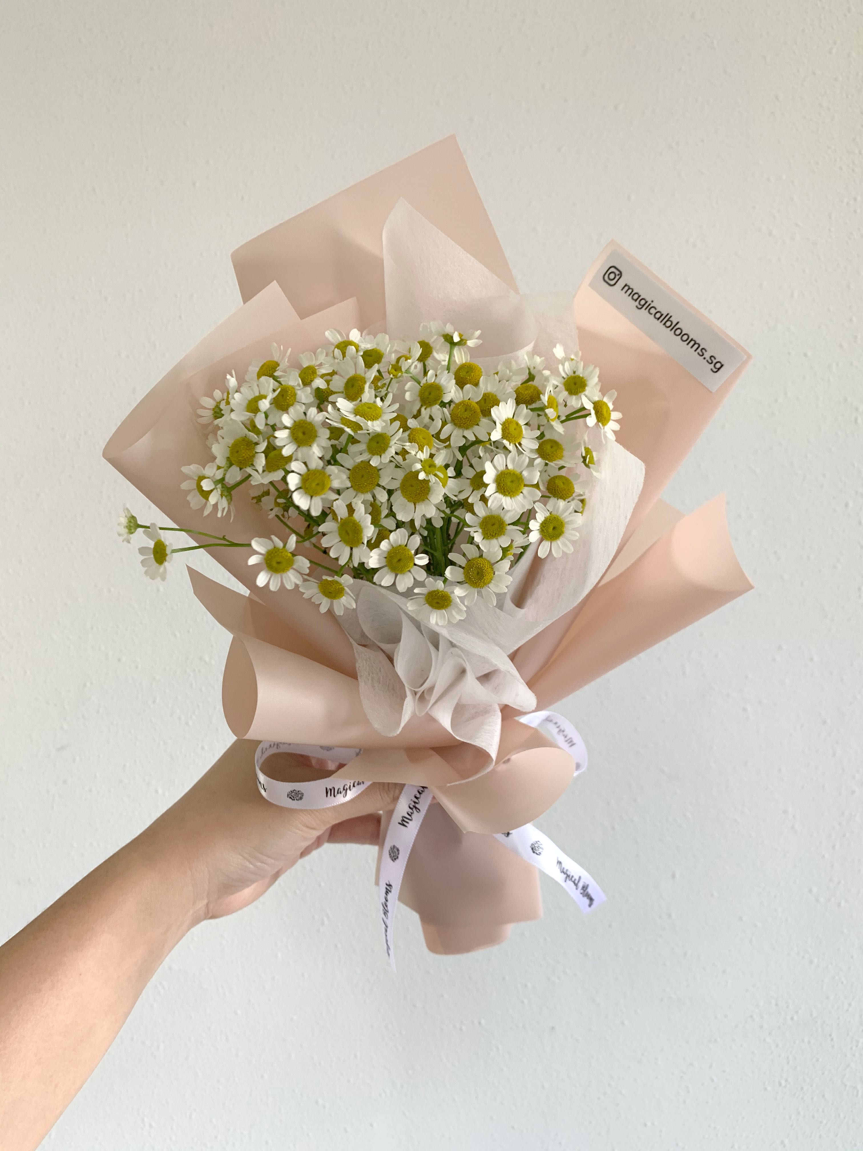 Daisy Bouquet / Mini Daisies, Gardening, Flowers & Bouquets on Carousell