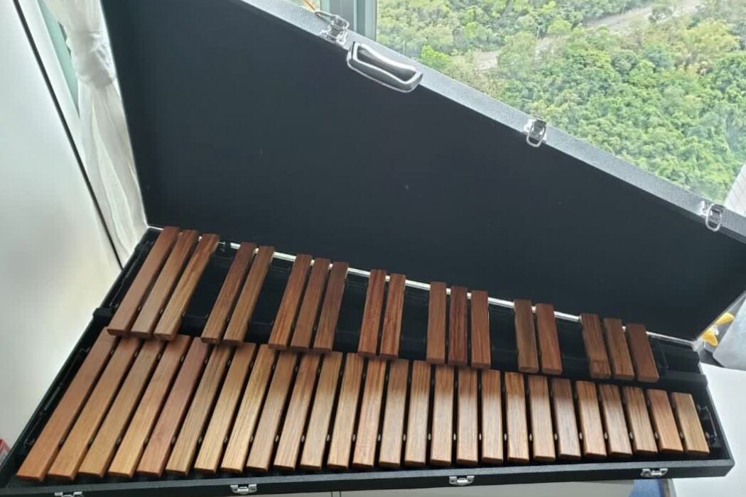 Saito xylophone deals