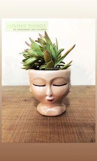 Doll Head Pot for succulent cactus and other small plants