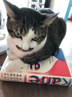 （分類：）位於 。 由 surchey 提交（商品編號 1023140510，圖片 1）。簡介： 。