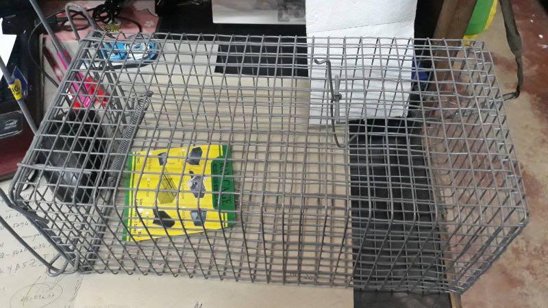 all metal rat cage