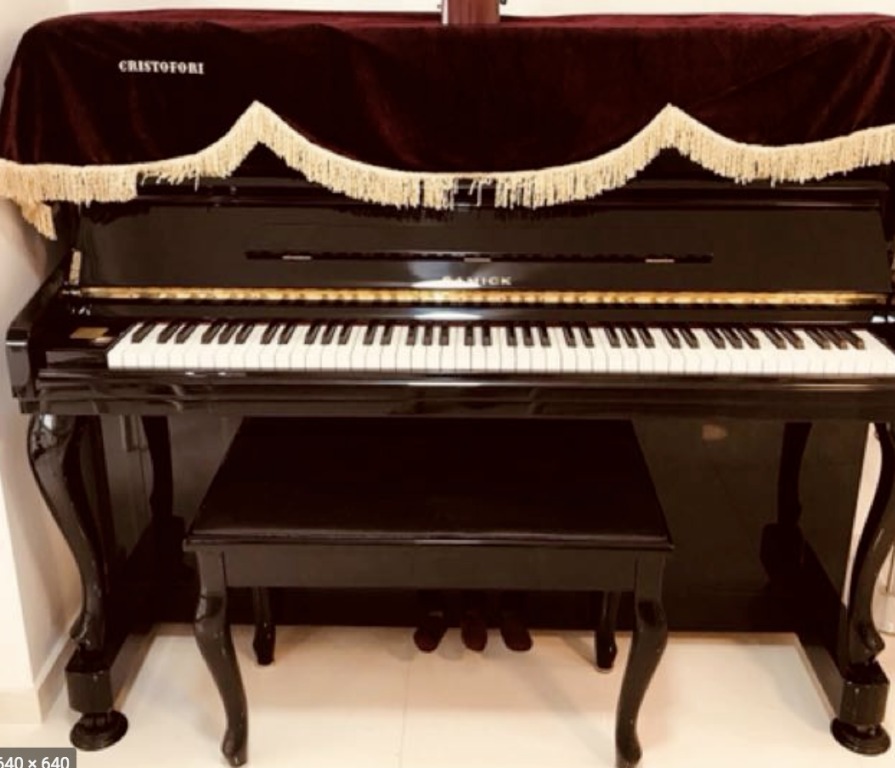 SAMICK PIANO JS121 FD Upright Exam Model Preloved Piano Hobbies