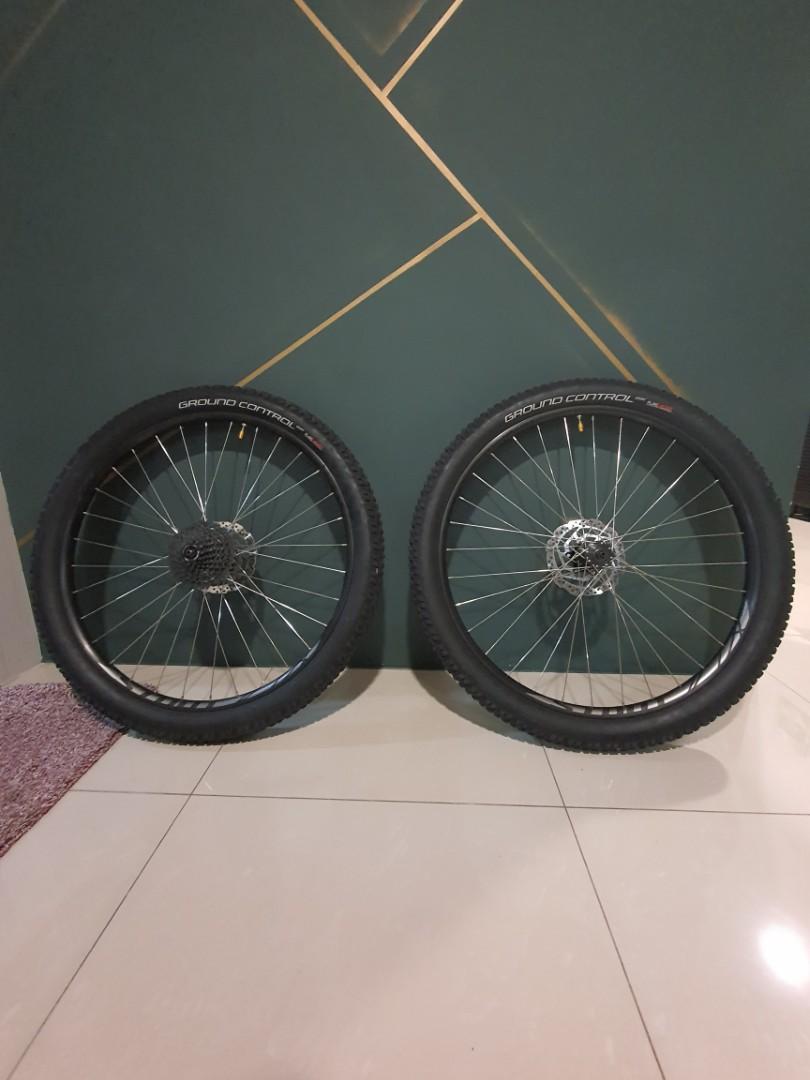 stout 29 rims