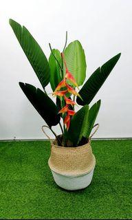 Artificial Plant with pot