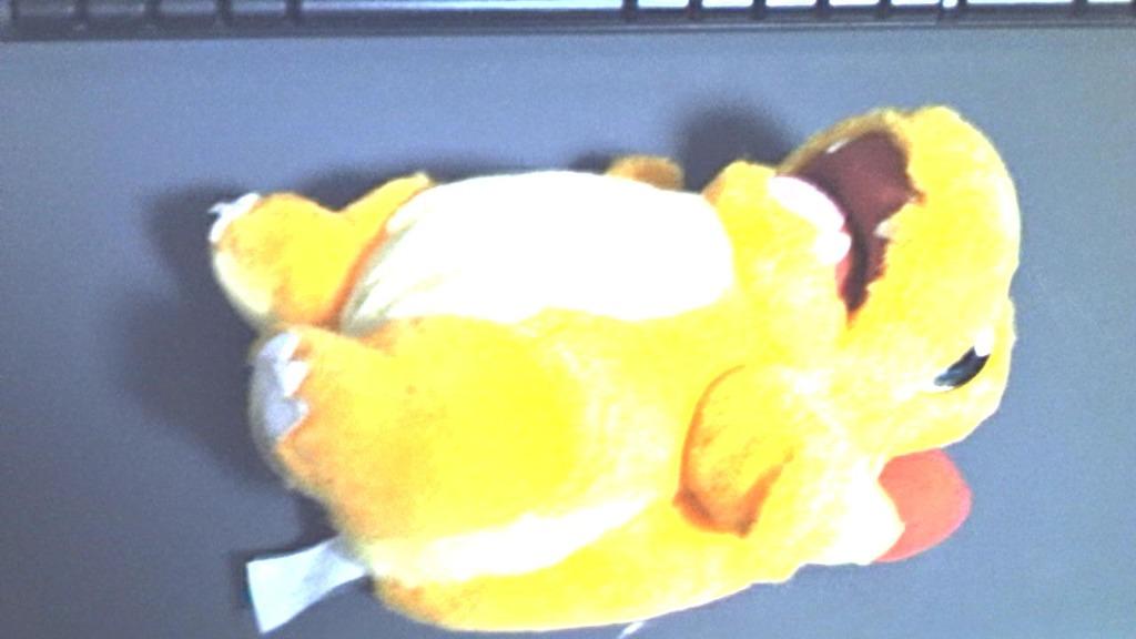 charmander stuff