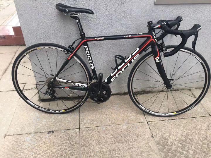 focus cayo road bike