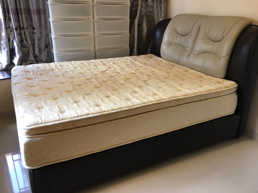 Comfort sensations shop king koil