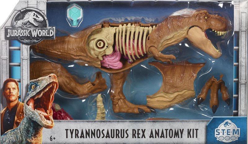 mattel jurassic world stem tyrannosaurus rex anatomy kit