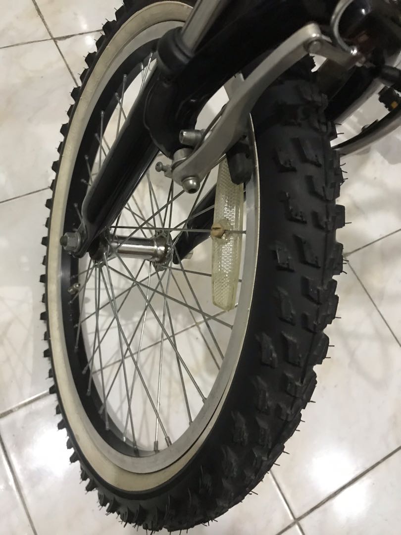 my pallas bicycle