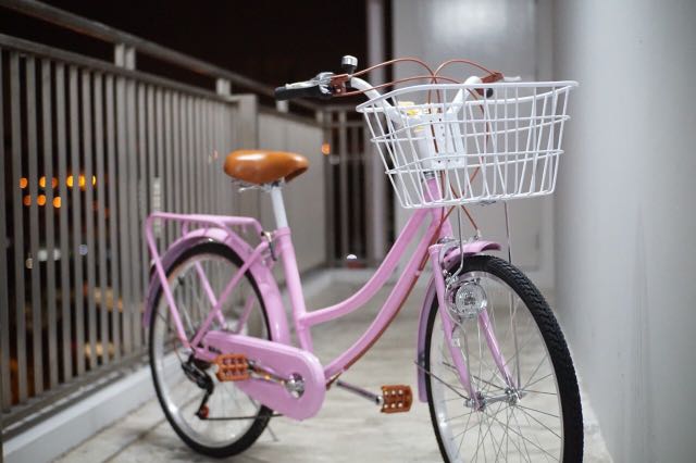 Korean bike hotsell