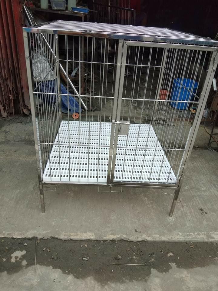 goraul dog flea collar