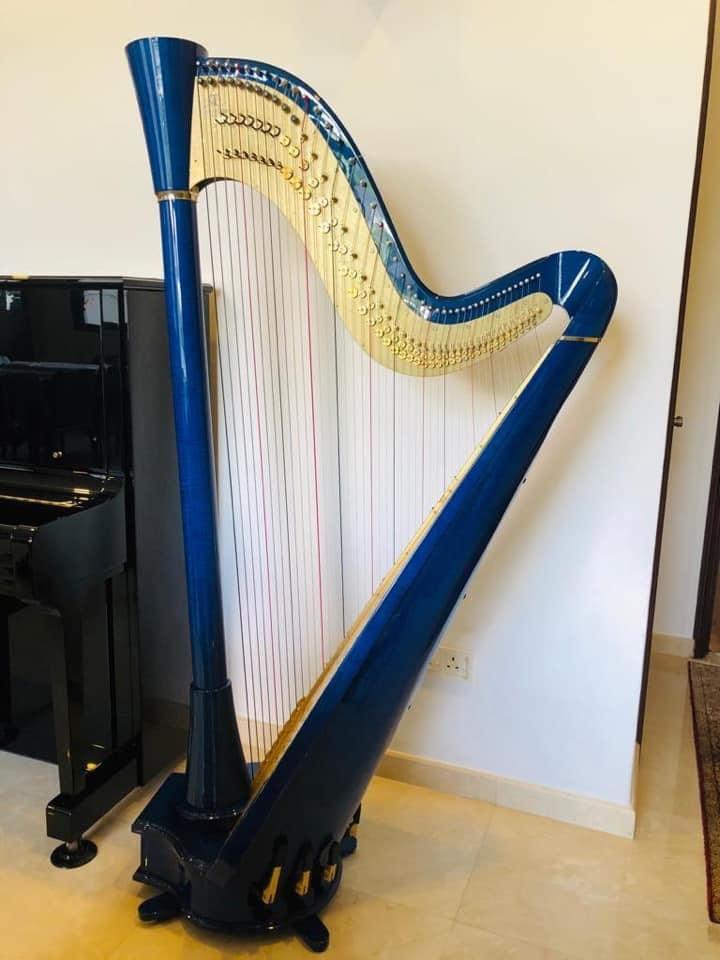 Camac electro acoustic pedal harp Hobbies Toys Music Media