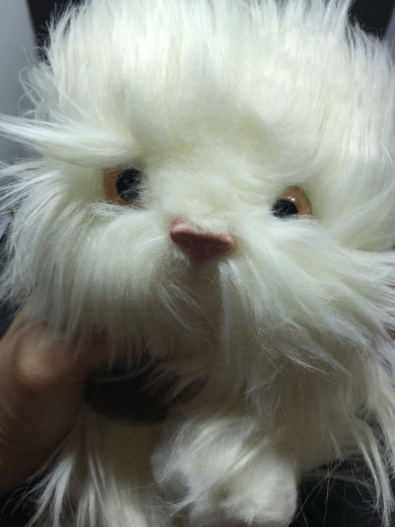 Cute Cuddle Little Furry Cat From Keel Toys Toys Games Other Toys On Carousell