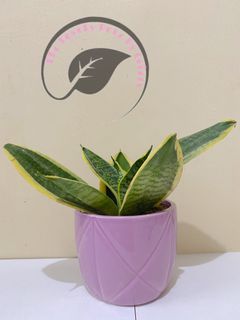 (Category: ) located in . Submitted by cristygen (Listing ID 1023720319, Image 1). Description: .