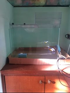 (Category: ) located in . Submitted by lukeyaya1919 (Listing ID 1023666751, Image 1). Description: .
