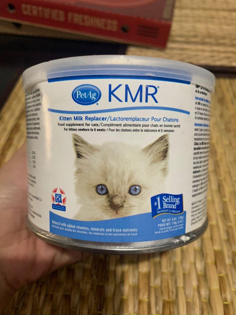 newborn kitten supplies